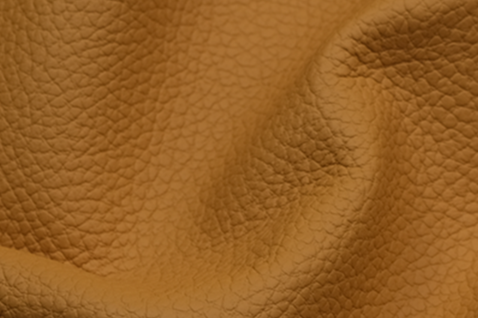 American Max Collection - Premium Leather Products