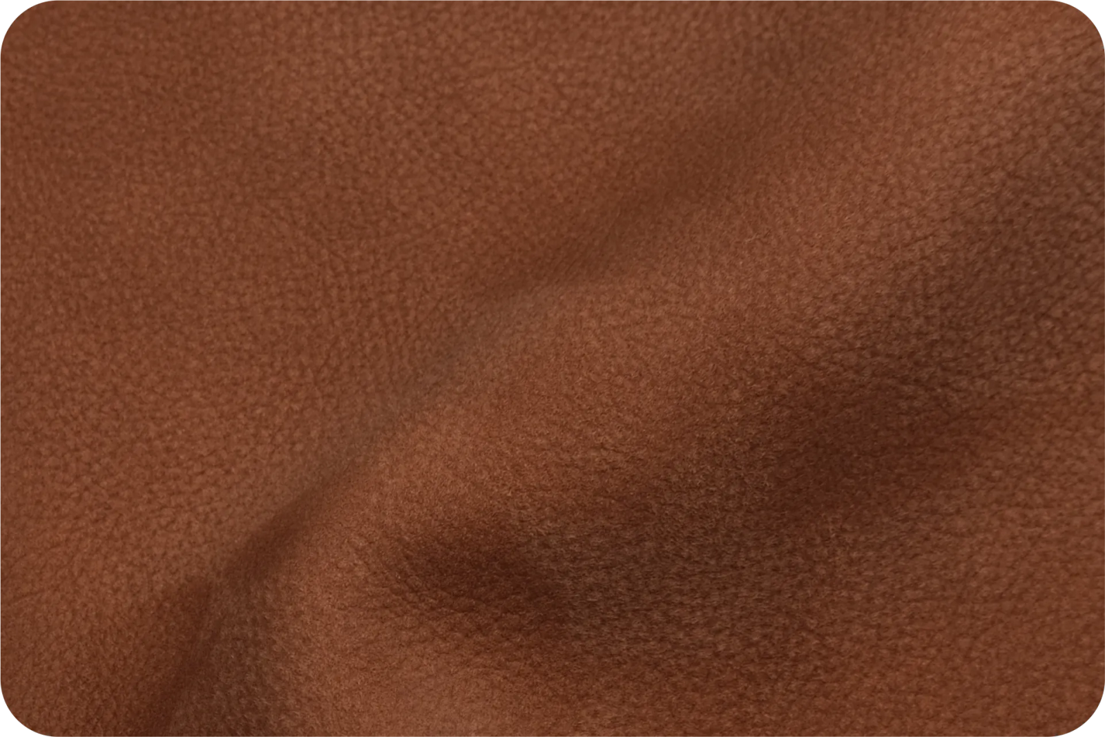 Crazy Collection Main