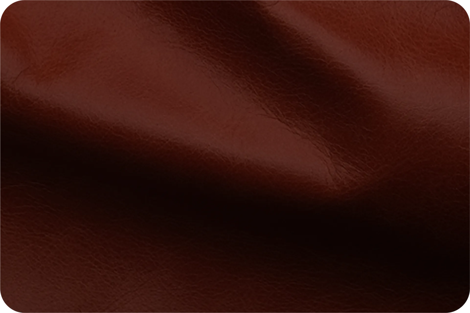 Luster Collection Main