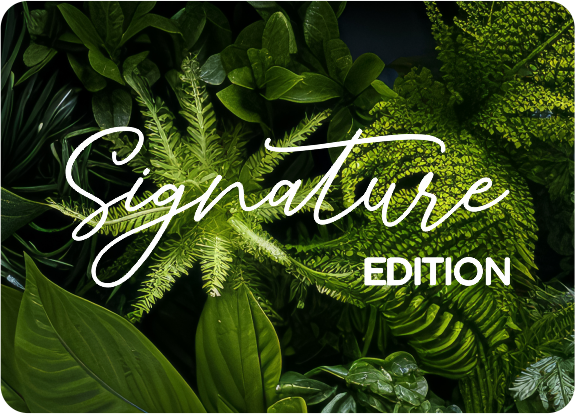 Signature Edition