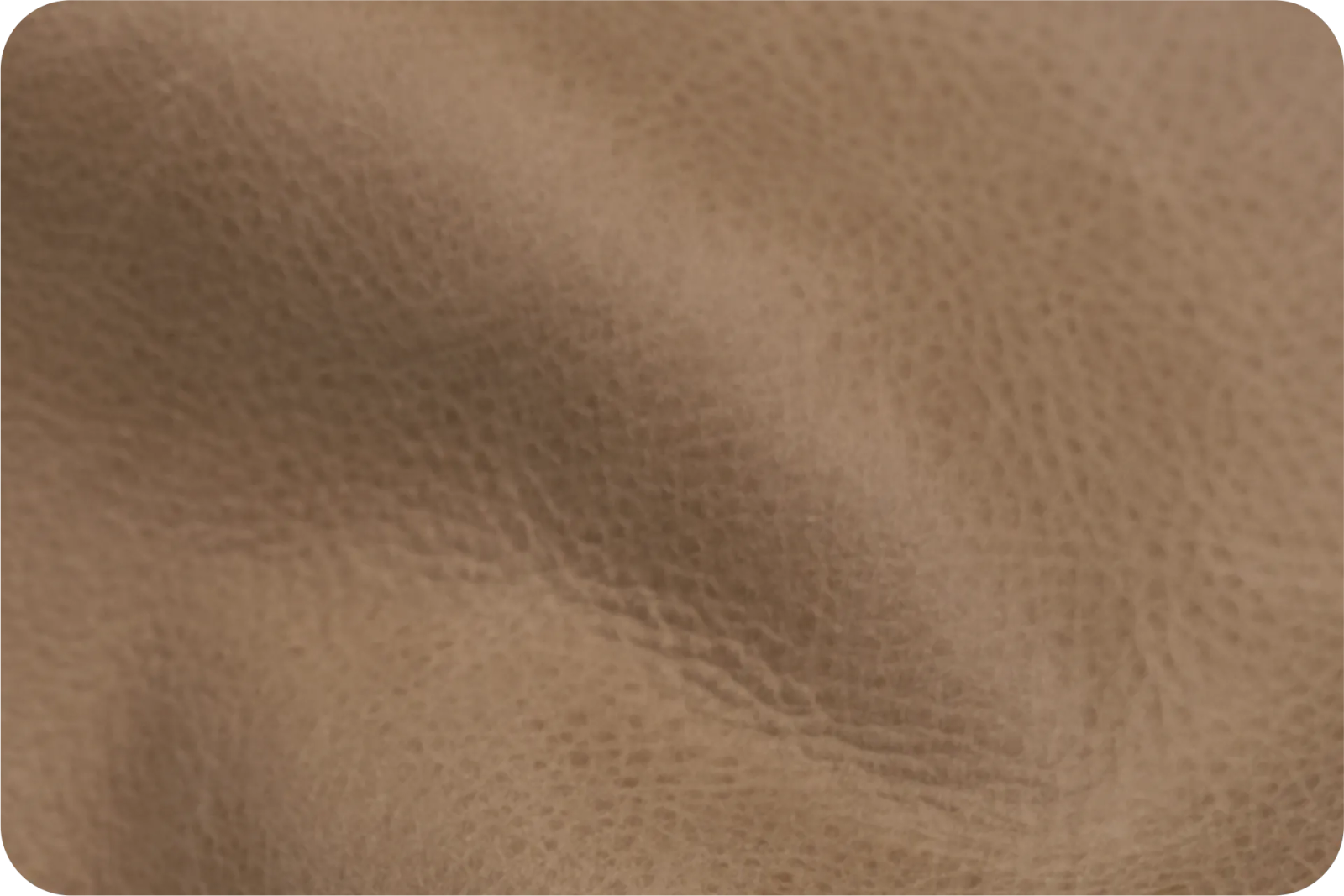 Vintage Collection Main